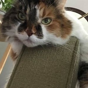 Meet your Posher, Lee